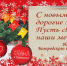 С новым годом, дорогие земляки! - Администрация г. Старая Купавна